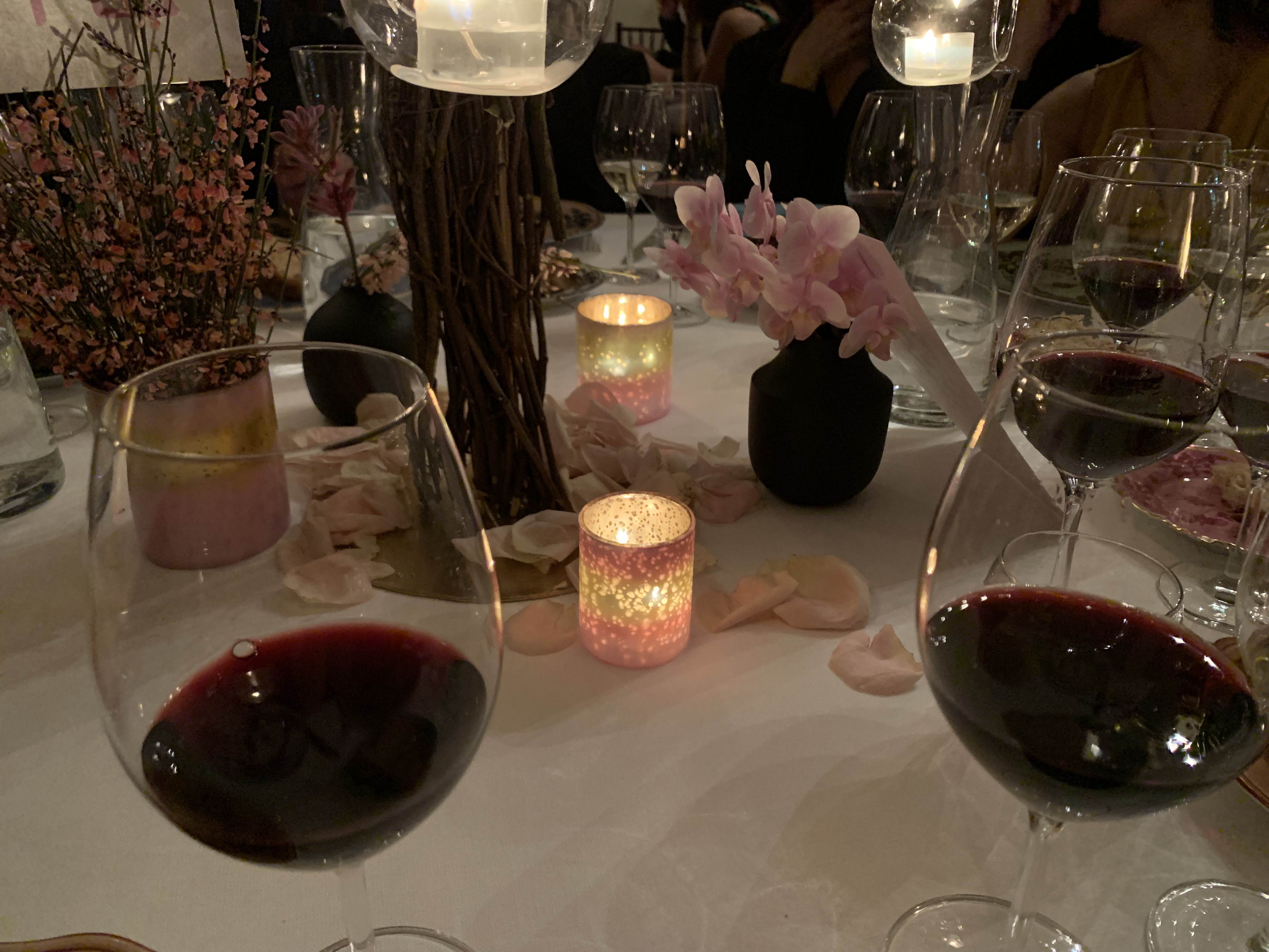 Appunti tra le vigne